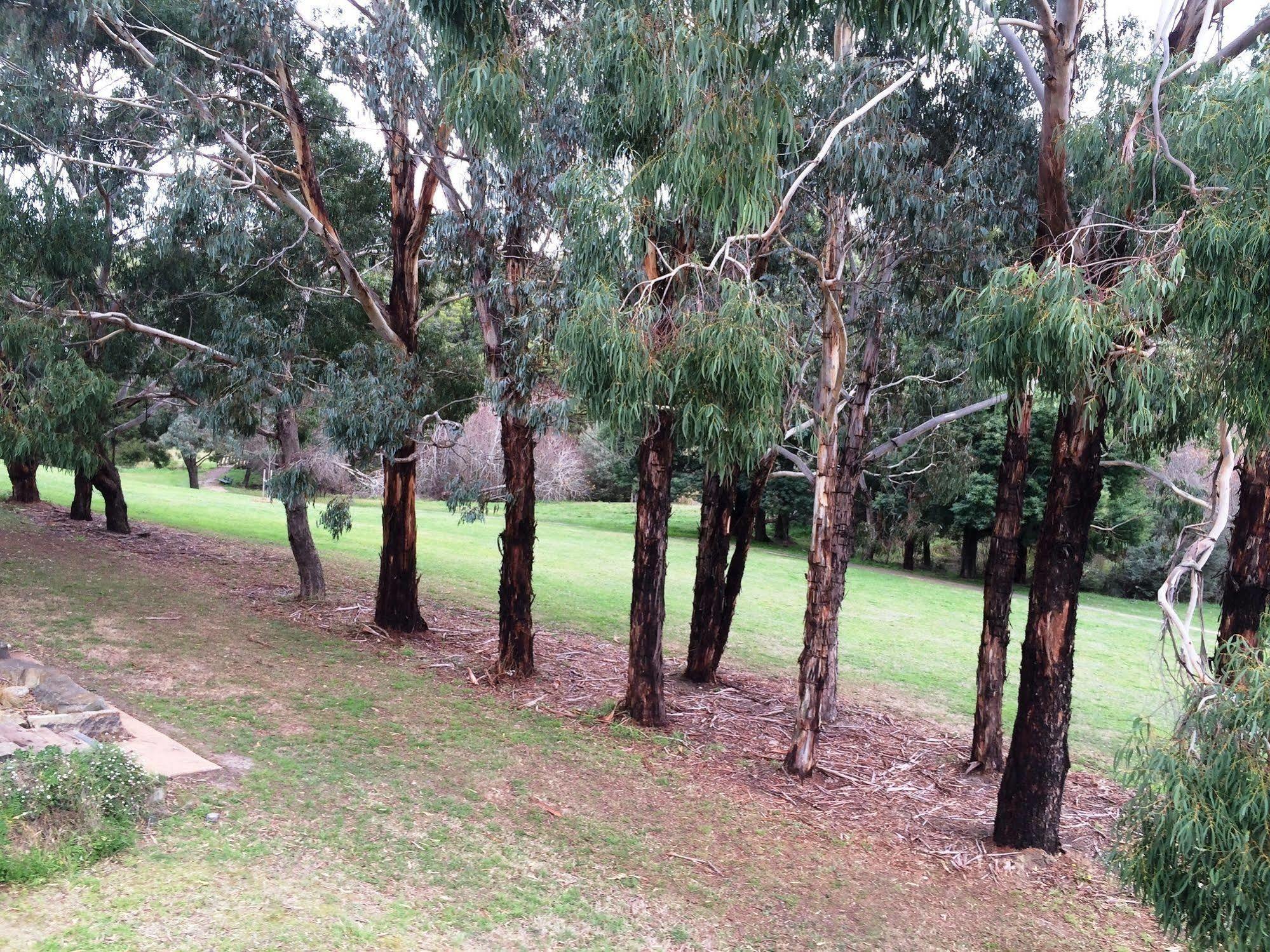 Daylesford By The Lake Cute&Cosy Studio Hotell Eksteriør bilde