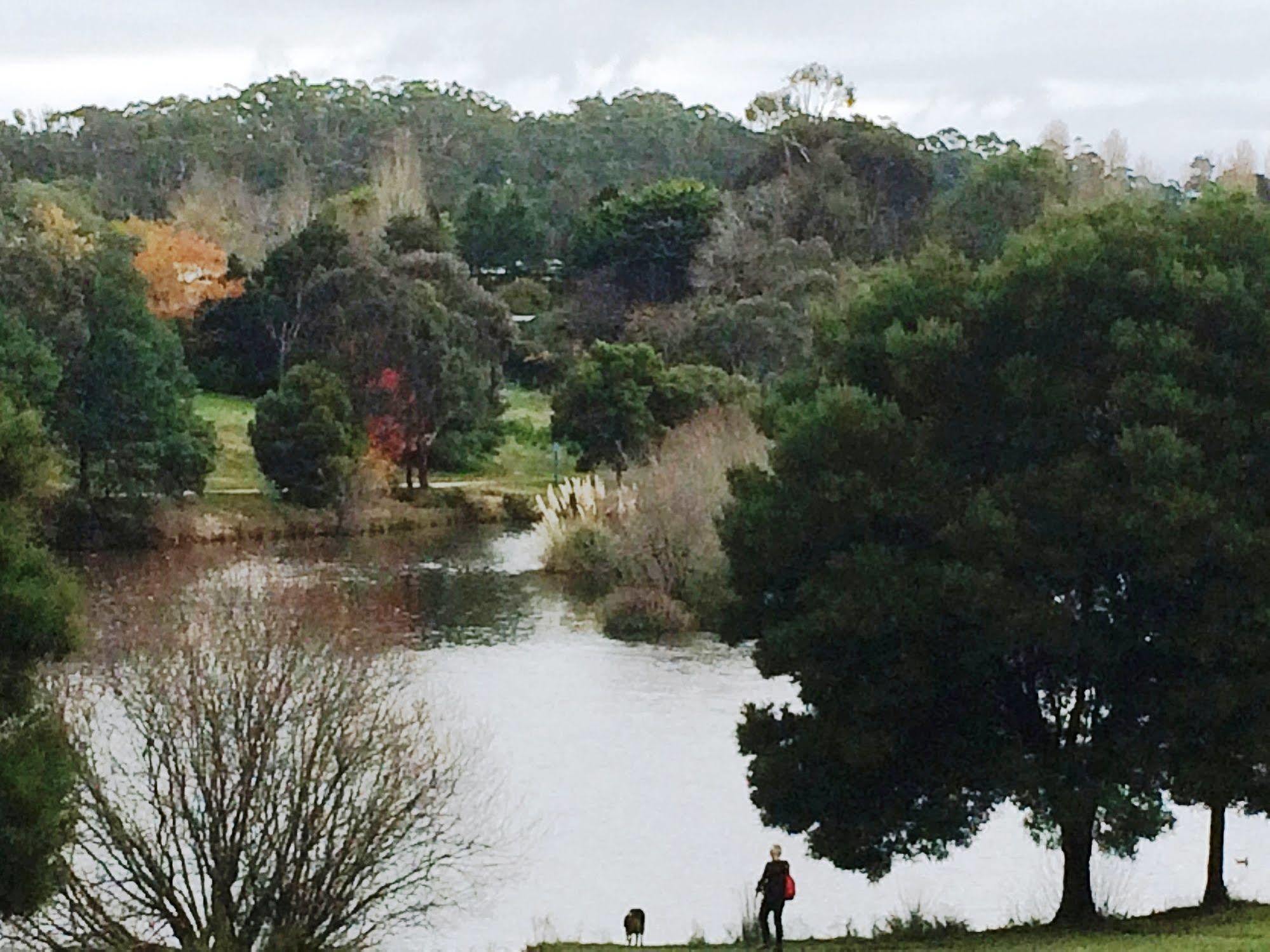 Daylesford By The Lake Cute&Cosy Studio Hotell Eksteriør bilde